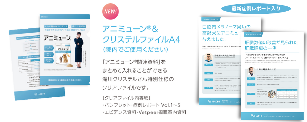 名称未設定 (1000 × 400 px) (2)