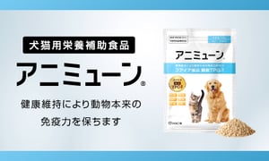 231122_animmune_freebnr-4