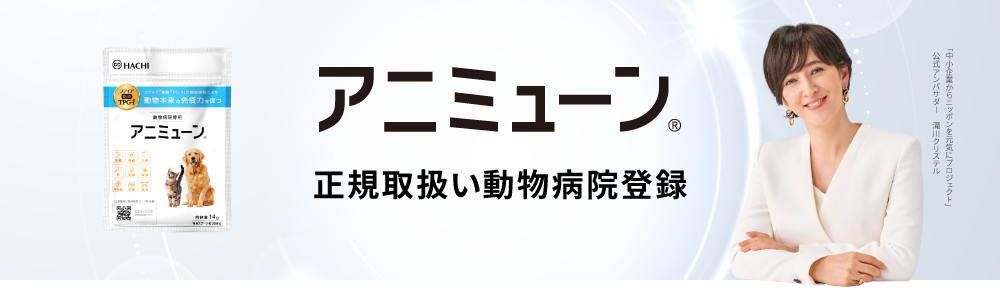 2606_cyokuinLP_01-Jul-27-2026-03-51-37-6454-AM