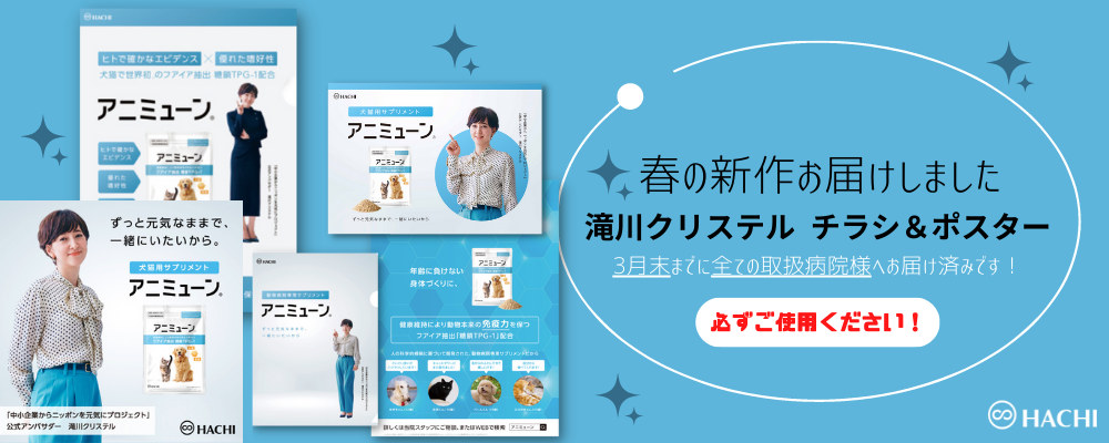 名称未設定 (1000 × 400 px)