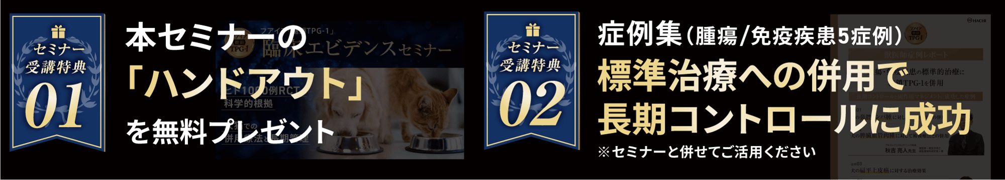 Esemi_00@2x-1
