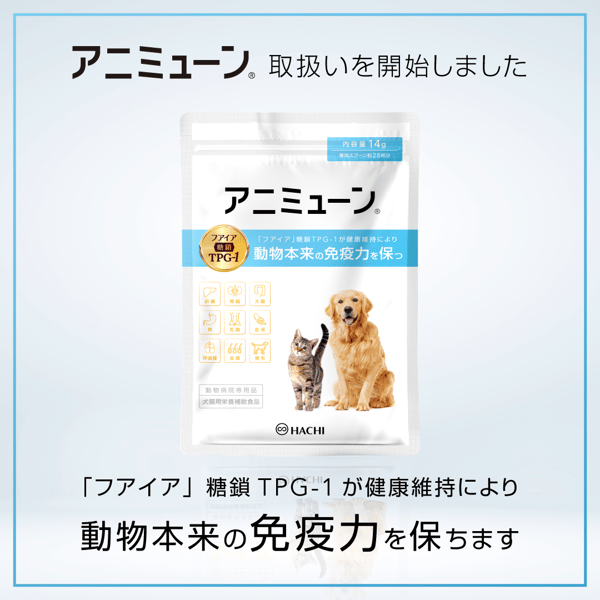 animmune_SNS_01