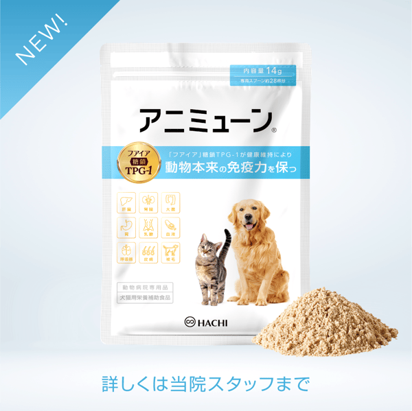 animmune_SNS_02