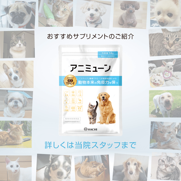 animmune_SNS_03