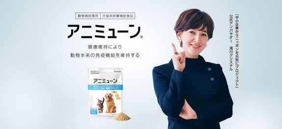 hachi_web_partner_top-pc
