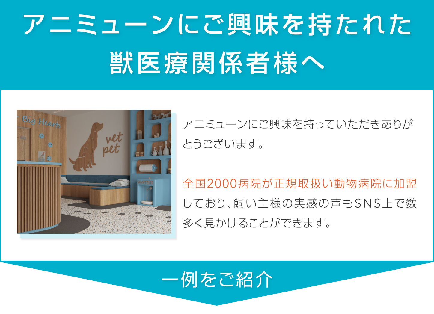 partnerLP-04@2x