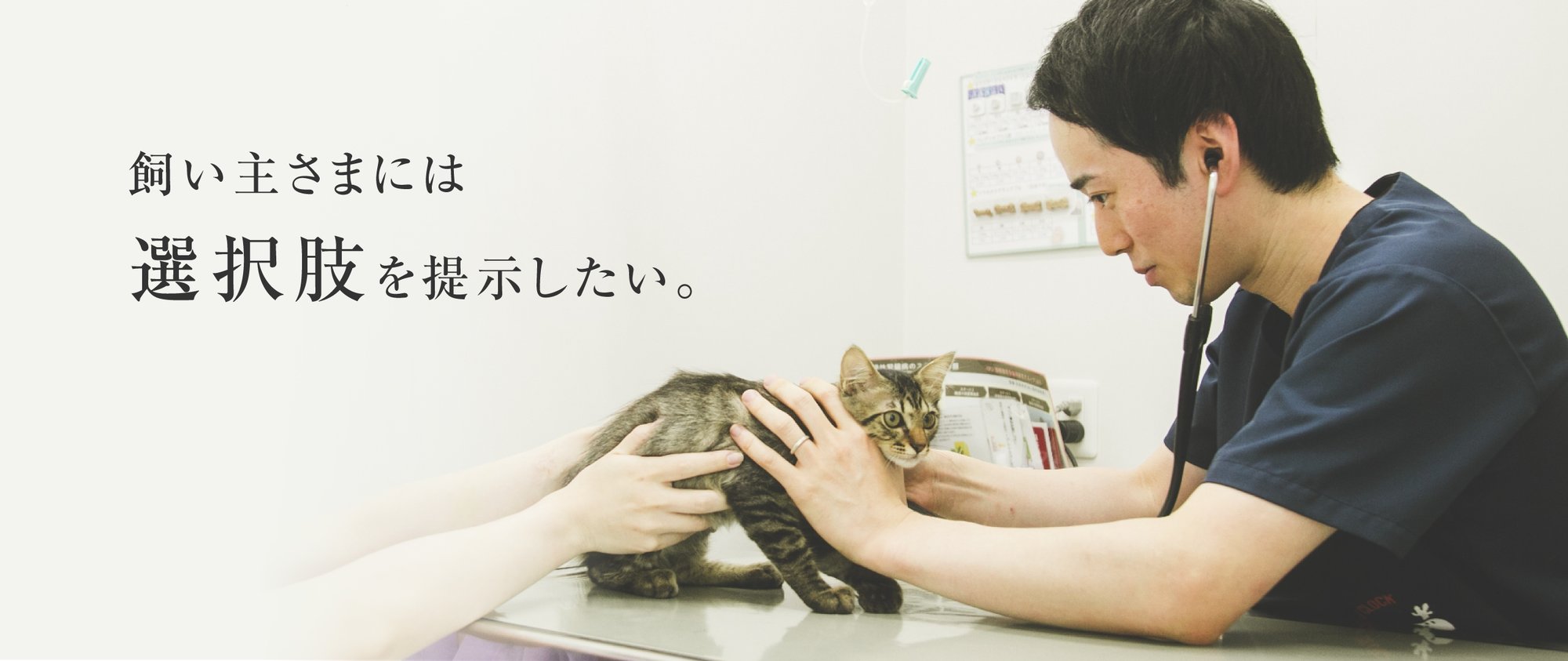 vetsview_morioka_subtitle_01@2x-1