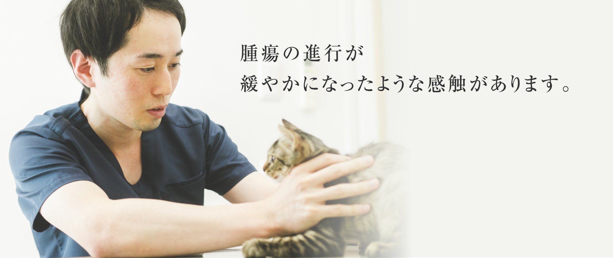 vetsview_morioka_subtitle_01@2x-2