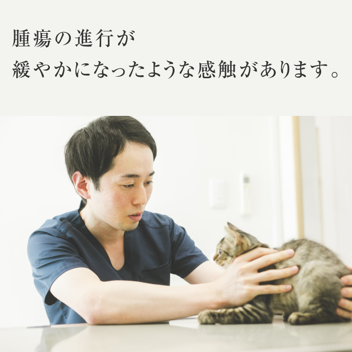 vetsview_sp_morioka_subtitle_01