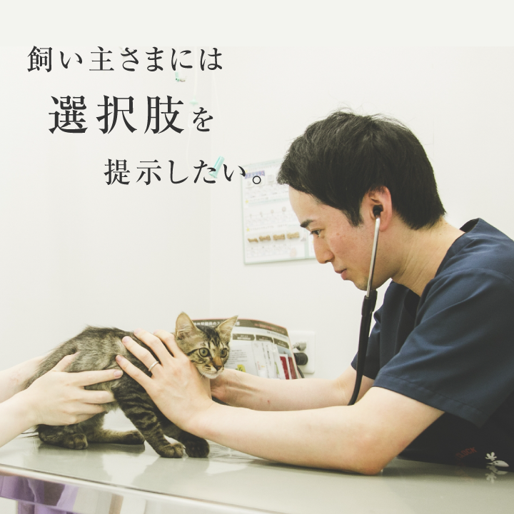 vetsview_sp_morioka_subtitle_03