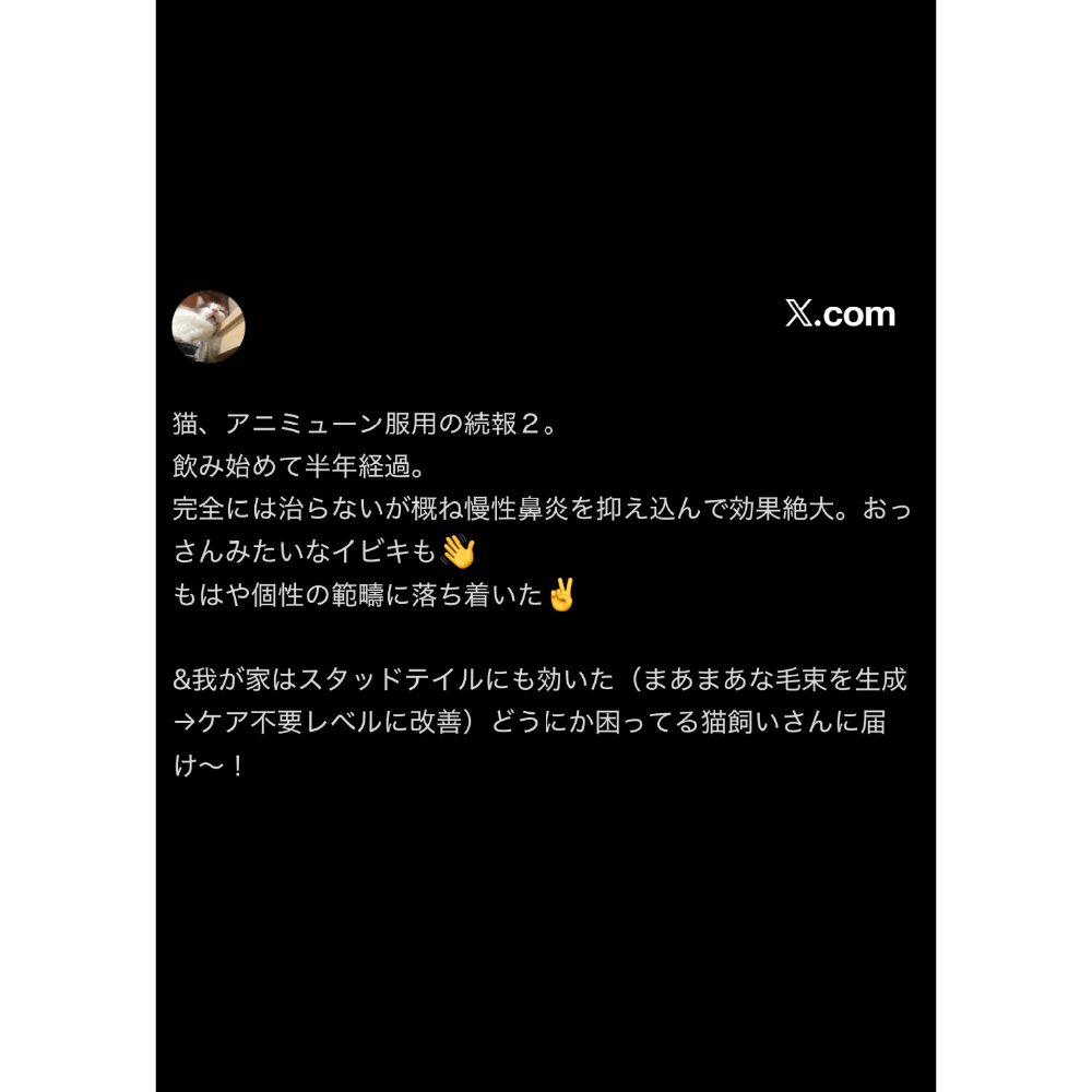 2606_cyokuinLP_05-2