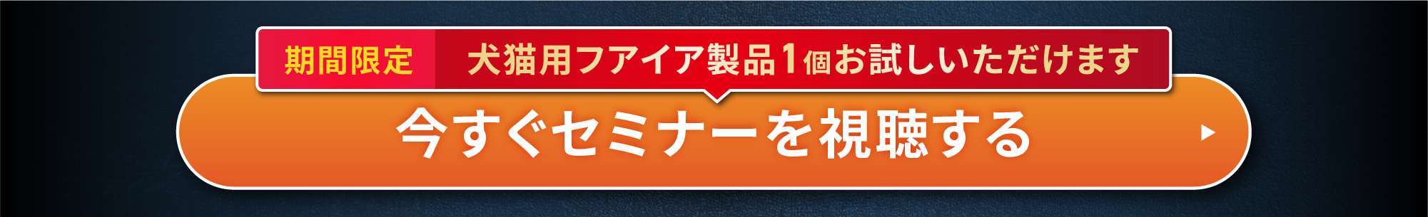 Esemi_LP_02@2x