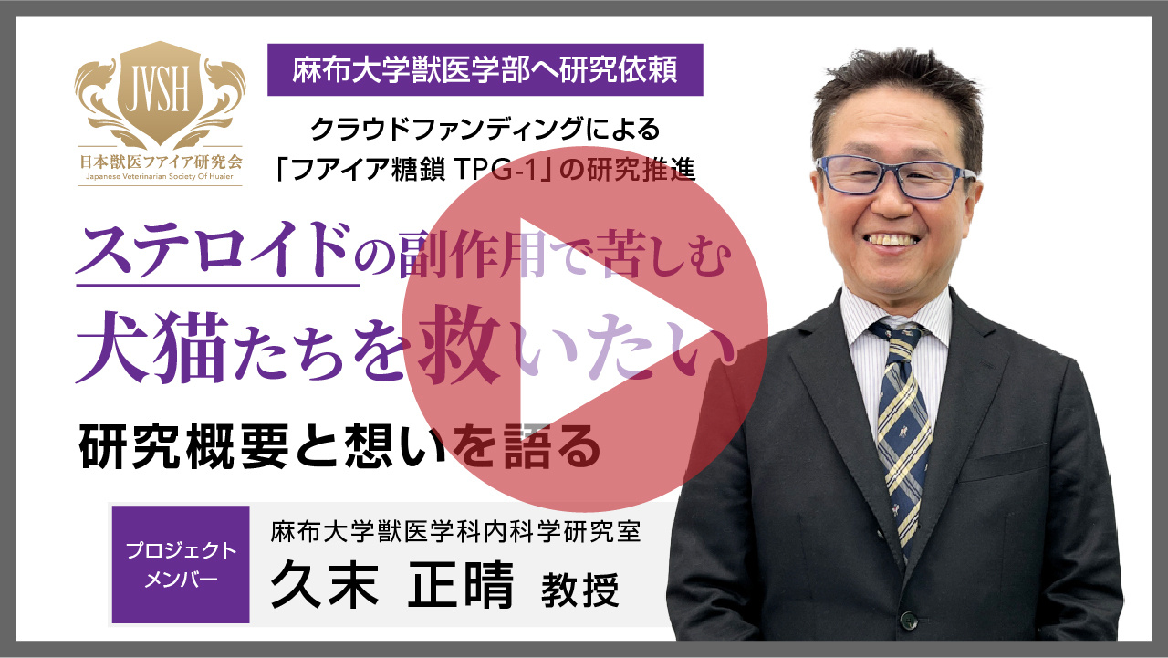 JVSH_thumb_02-100