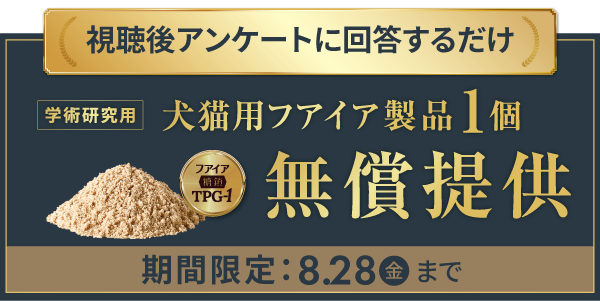 SAA_mail_03-2 SAA_mail_03-2