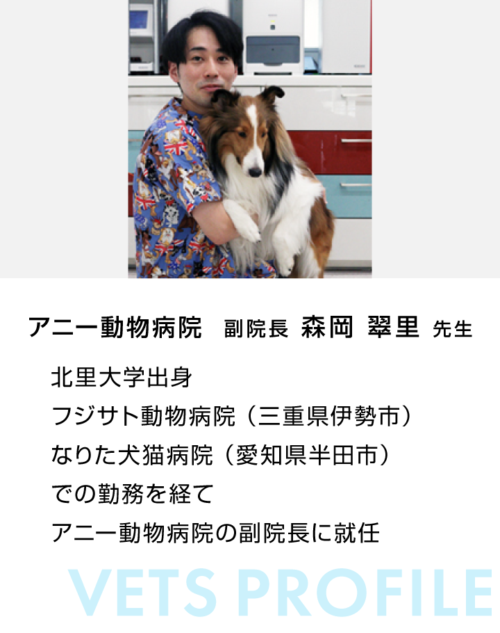 vetsview_sp_morioka_profile